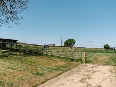 Picture 46